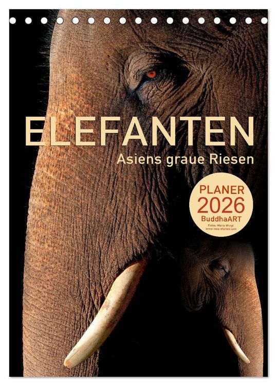 Produktbild: ELEFANTEN - Asiens graue Riesen (Tischkalender 2026 DIN A5 hoch), CALVENDO Monatskalender