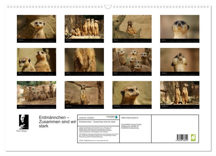Produktbild: Erdm&auml;nnchen &ndash; Zusammen sind wir stark (Wandkalender 2026 DIN A2 quer), CALVENDO Monatskalender