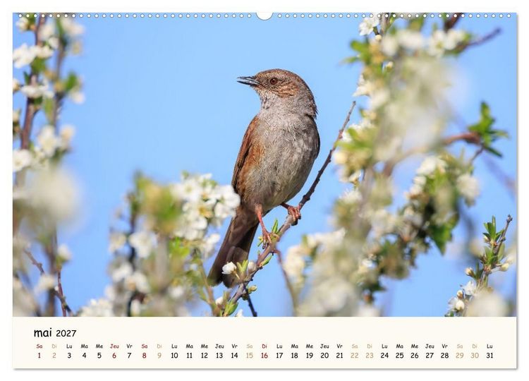 Produktbild: Les voisins du jardin - Une ann&eacute;e de rencontres (Calendrier mural haut de gamme 2027 DIN A2 vertical), CALVENDO calendrier mensuel