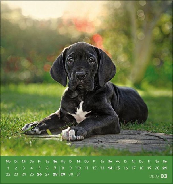 Produktbild: Hunde 2027