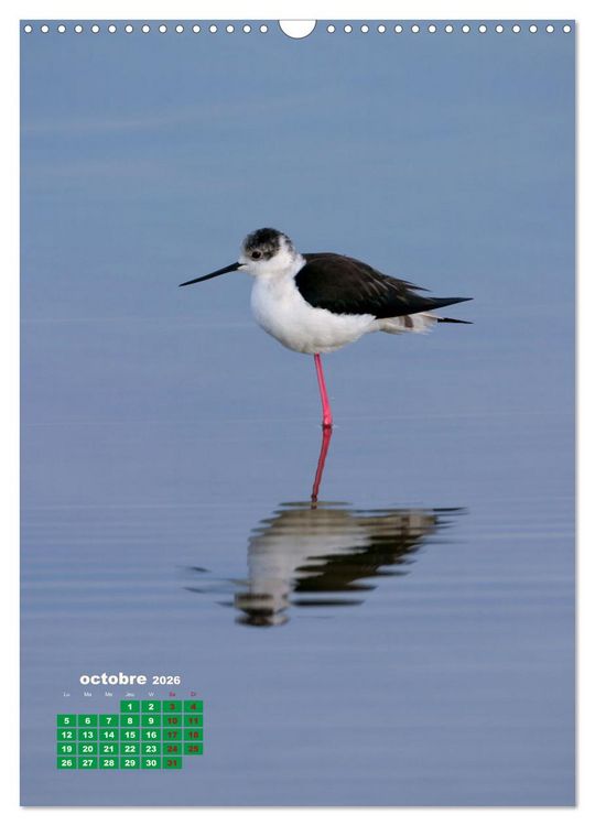 Produktbild: Lesbos l'&icirc;le aux oiseaux (Calendrier mural 2026 DIN A3 horizontal), CALVENDO calendrier mensuel