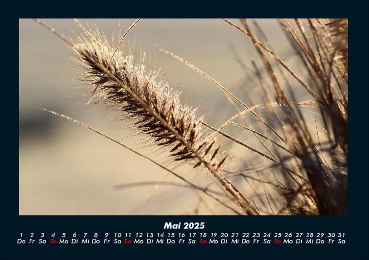 Produktbild: Natur 2025 Fotokalender DIN A4
