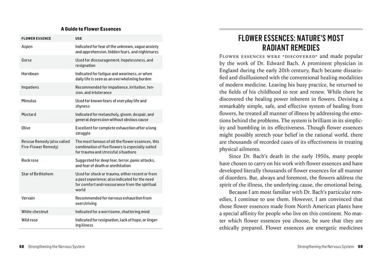 Produktbild: Herbs for Stress & Anxiety