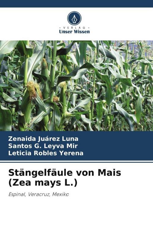 Produktbild: St&auml;ngelf&auml;ule von Mais (Zea mays L.)