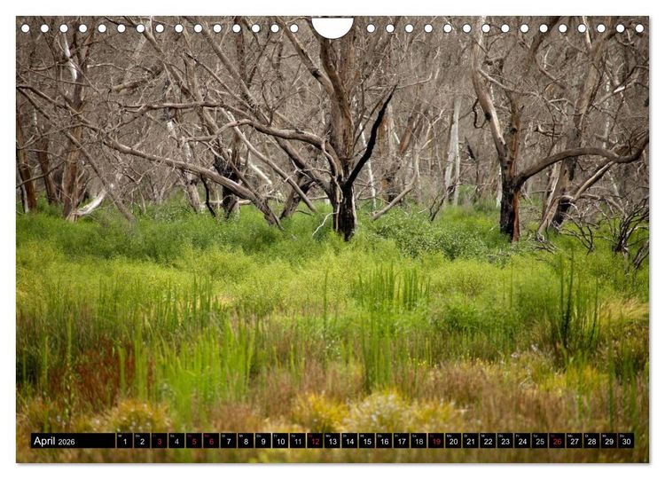 Produktbild: Kangaroo Island (Wandkalender 2026 DIN A4 quer), CALVENDO Monatskalender