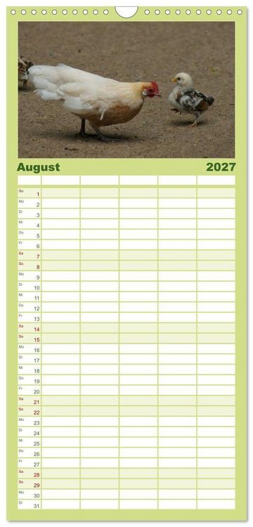 Produktbild: Familienplaner 2027 - Die Welt der H&uuml;hner mit 5 Spalten (Wandkalender, 21 x 45 cm) CALVENDO