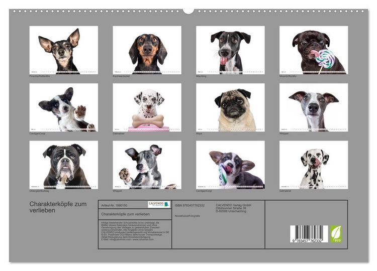 Produktbild: Charakterk&ouml;pfe zum verlieben (Wandkalender 2026 DIN A2 quer), CALVENDO Monatskalender