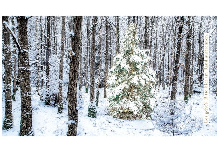 Produktbild: Escape Christmas - Adventskalender