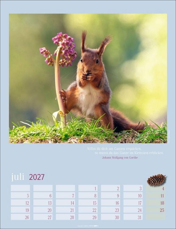 Produktbild: Eichh&ouml;rnchen Kalender 2027