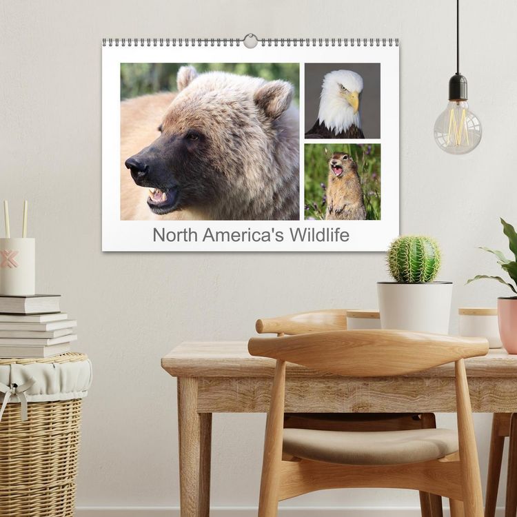 Produktbild: North America's Wildlife (Wall Calendar 2026 DIN A3 landscape), CALVENDO 12 Month Wall Calendar