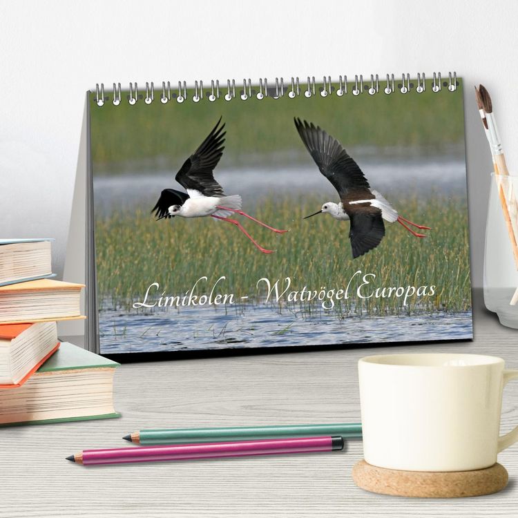Produktbild: Limikolen - Watv&ouml;gel Europas (Tischkalender 2026 DIN A5 quer), CALVENDO Monatskalender