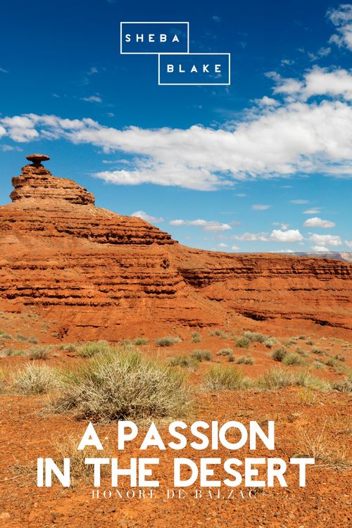 Produktbild: A Passion in the Desert