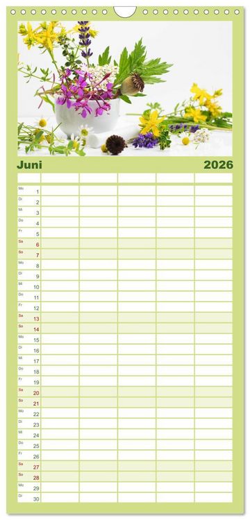 Produktbild: Familienplaner 2026 - Helfende Kr&auml;uter aus dem Garten mit 5 Spalten (Wandkalender, 21 x 45 cm) CALVENDO
