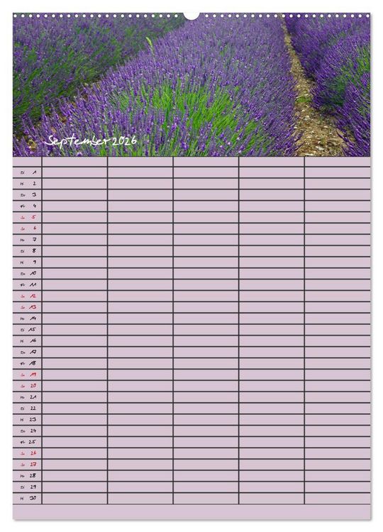 Produktbild: Naturzauber Lavendel - Familienplaner (Wandkalender 2026 DIN A2 hoch), CALVENDO Monatskalender