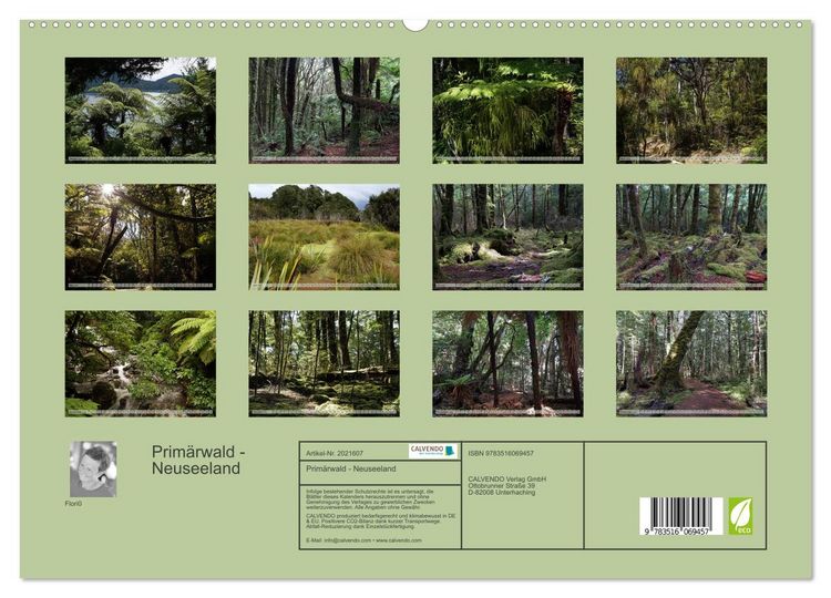 Produktbild: Prim&auml;rwald - Neuseeland (hochwertiger Premium Wandkalender 2026 DIN A2 quer), Kunstdruck in Hochglanz