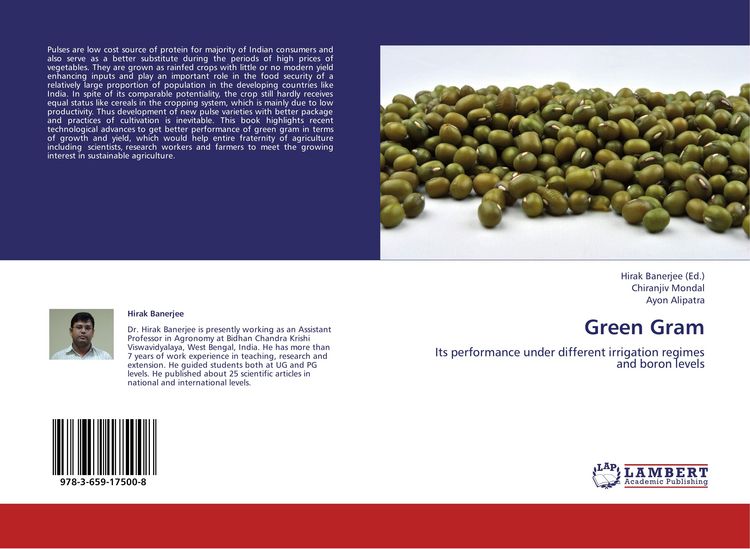 Produktbild: Green Gram