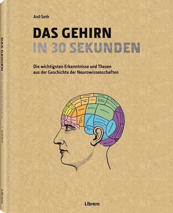 Produktbild: Das Gehirn in 30 Sekunden