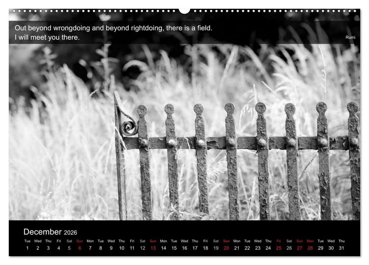 Produktbild: Through the Gate with Rumi (High Quality Premium Wall Calendar 2026 DIN A2 landscape),CALVENDO 12 Month Wall Calendar