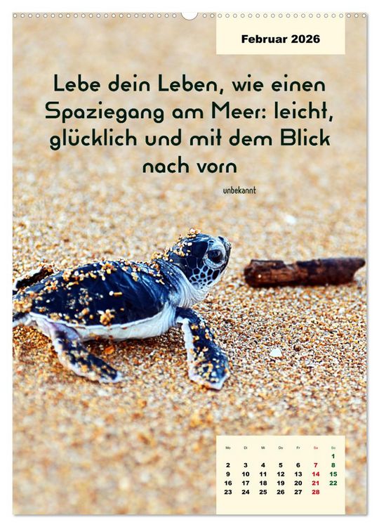 Produktbild: Verr&uuml;ckt nach MEER - Wellen - Strand - Zitate (Wandkalender 2026 DIN A2 hoch), CALVENDO Monatskalender