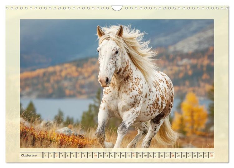 Produktbild: Knabstrupper Poesie. Gescheckte Eleganz im Farmsommer (Wandkalender 2027 DIN A3 quer), CALVENDO Monatskalender