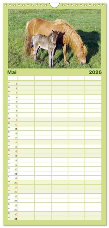 Produktbild: Familienplaner 2026 - Die Pferde Islands mit 5 Spalten (Wandkalender, 21 x 45 cm) CALVENDO