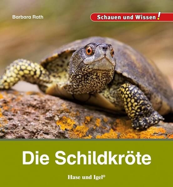 Produktbild: Die Schildkr&ouml;te