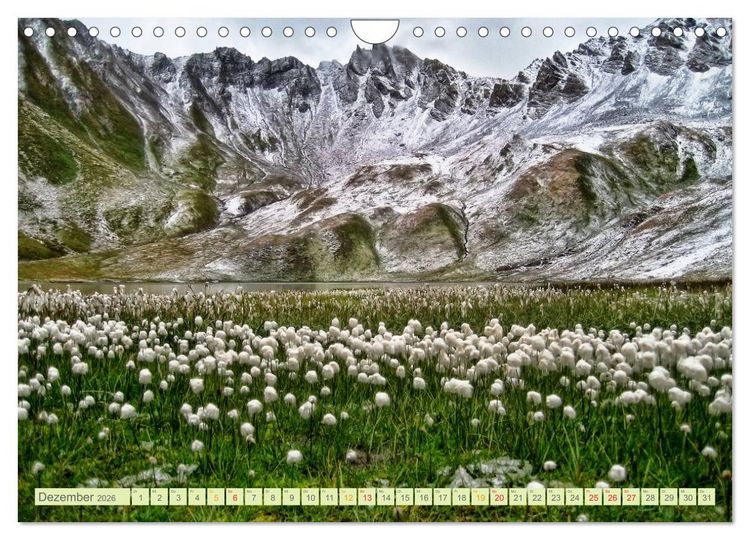Produktbild: Blumenwiesen &ndash; ein bl&uuml;tenzauberhaftes Jahr (Wandkalender 2026 DIN A4 quer), CALVENDO Monatskalender