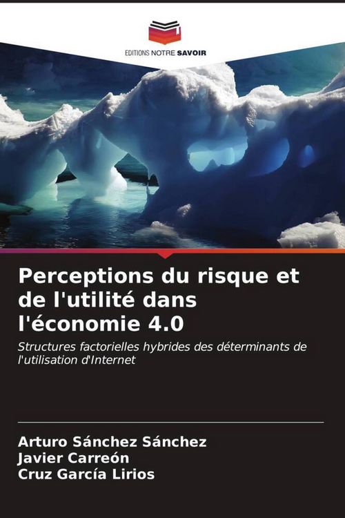 Produktbild: Perceptions du risque et de l'utilit&eacute; dans l'&eacute;conomie 4.0
