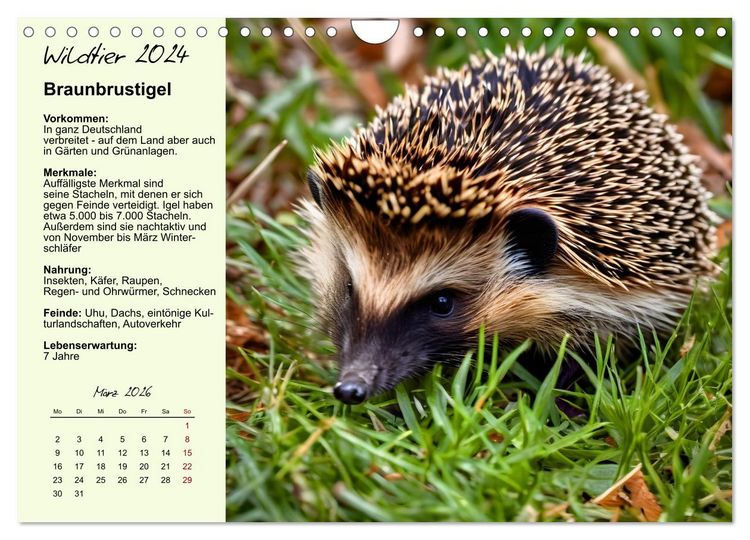 Produktbild: Wildtiere des Jahres (Wandkalender 2026 DIN A4 quer), CALVENDO Monatskalender