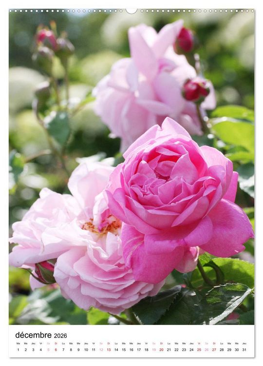 Produktbild: Joie avec des fleurs (Calendrier mural 2026 DIN A2 horizontal), CALVENDO calendrier mensuel