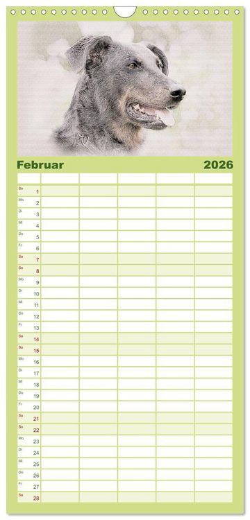 Produktbild: Familienplaner 2026 - Franz&ouml;sische Hirtenhunde 2026 mit 5 Spalten (Wandkalender, 21 x 45 cm) CALVENDO