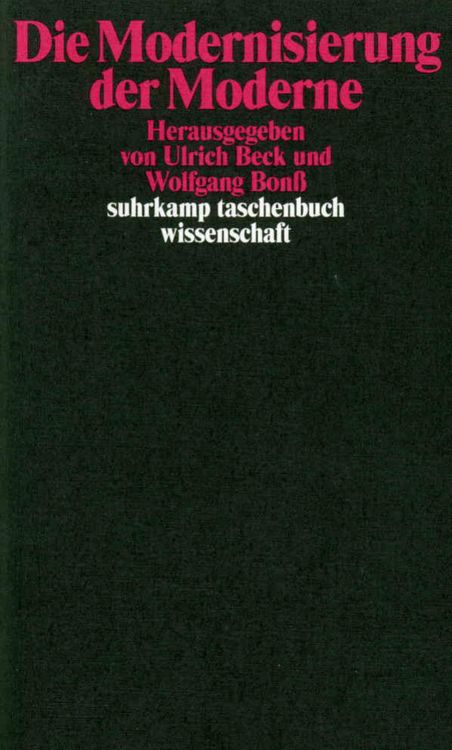 Produktbild: Die Modernisierung der Moderne