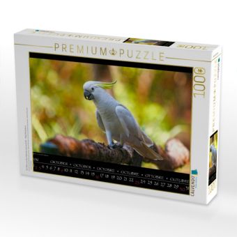 Produktbild: CALVENDO Puzzle Ein Motiv aus dem Kalender aves australis - V&ouml;gel Australiens | 1000 Teile Lege-Gr&ouml;&szlig;e 64x48cm Foto-Puzzle f&uuml;r gl&uuml;ckliche Stunden
