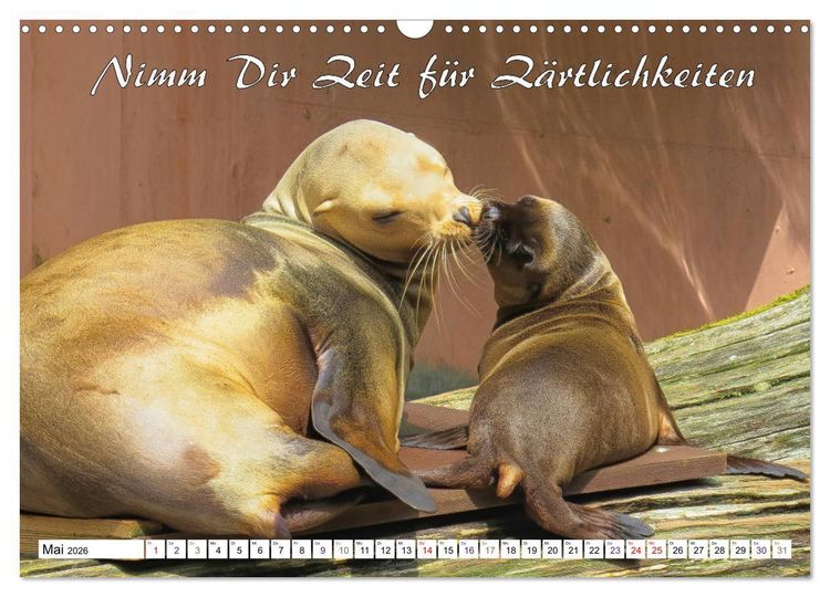 Produktbild: Tierbabies - Spruchkalender (Wandkalender 2026 DIN A3 quer), CALVENDO Monatskalender