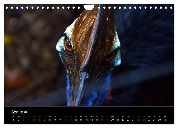 Produktbild: Australian Wildlife (Wandkalender 2026 DIN A4 quer), CALVENDO Monatskalender