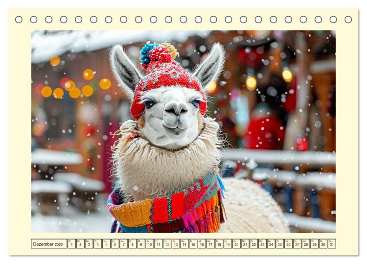 Produktbild: Lamas auf Tour. Perus flauschige Fashion-Ikonen (Tischkalender 2026 DIN A5 quer), CALVENDO Monatskalender