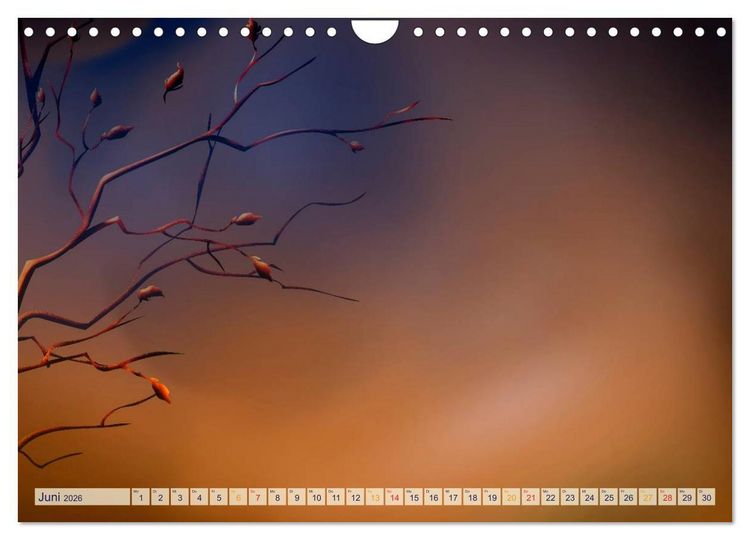 Produktbild: Kalender, Fotos selbst einkleben, selbst gestalten (Wandkalender 2026 DIN A4 quer), CALVENDO Monatskalender