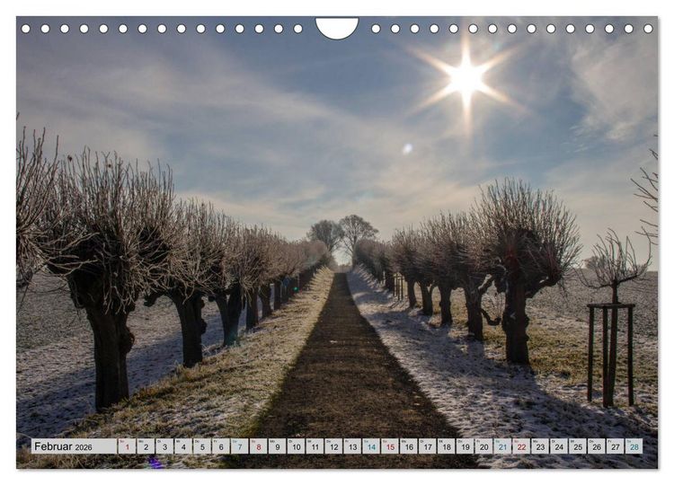 Produktbild: Schloss Bothmer - Kl&uuml;tzer Schlossimpressionen (Wandkalender 2026 DIN A4 quer), CALVENDO Monatskalender