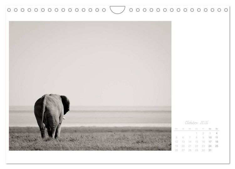 Produktbild: Elefanten in Etosha (Wandkalender 2026 DIN A4 quer), CALVENDO Monatskalender