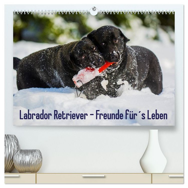 Produktbild: Labrador Retriever - Freunde f&uuml;r&acute;s Leben (hochwertiger Premium Wandkalender 2026 DIN A2 quer), Kunstdruck in Hochglanz