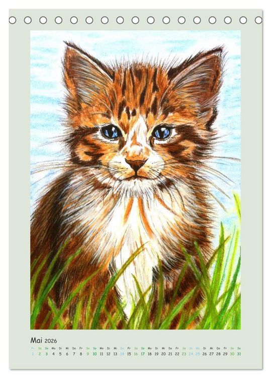 Produktbild: PortraiTierART Samtpf&ouml;tchen (Tischkalender 2026 DIN A5 hoch), CALVENDO Monatskalender