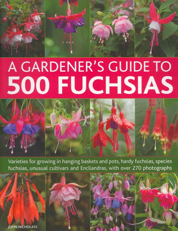 Produktbild: A Gardener's Guide to 500 Fuchsias