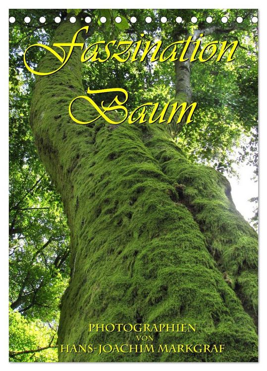 Produktbild: Faszination Baum (Tischkalender 2026 DIN A5 hoch), CALVENDO Monatskalender