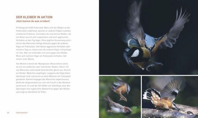 Produktbild: Ein Garten voller V&ouml;gel
