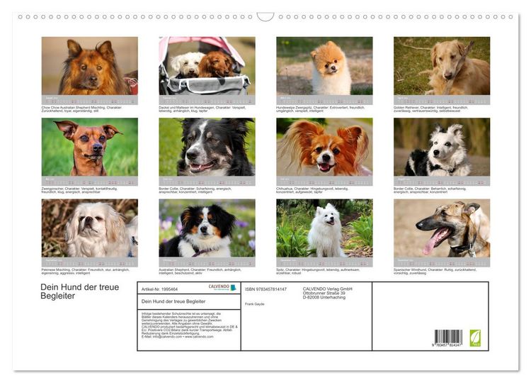 Produktbild: Dein Hund der treue Begleiter (Wandkalender 2026 DIN A2 quer), CALVENDO Monatskalender