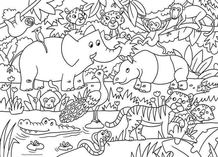 Produktbild: Ausmalposter Tiere