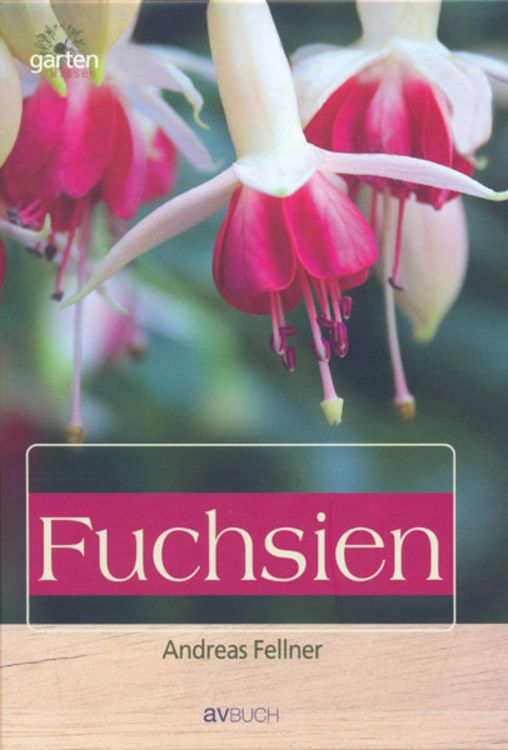 Produktbild: Fuchsien: Aufzucht und Pflege