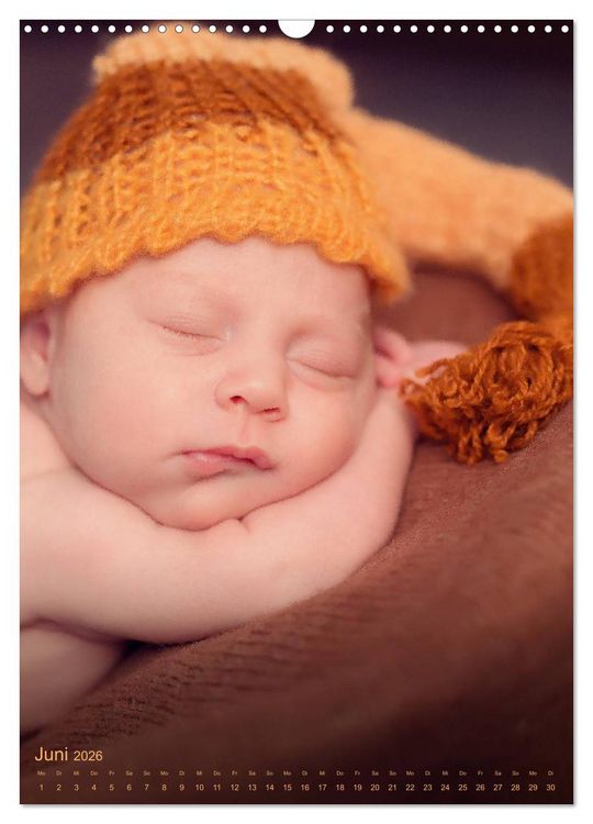 Produktbild: Babys - Die Liebe des Lebens (Wandkalender 2026 DIN A3 hoch), CALVENDO Monatskalender