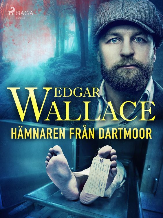 Produktbild: H&auml;mnaren fr&aring;n Dartmoor