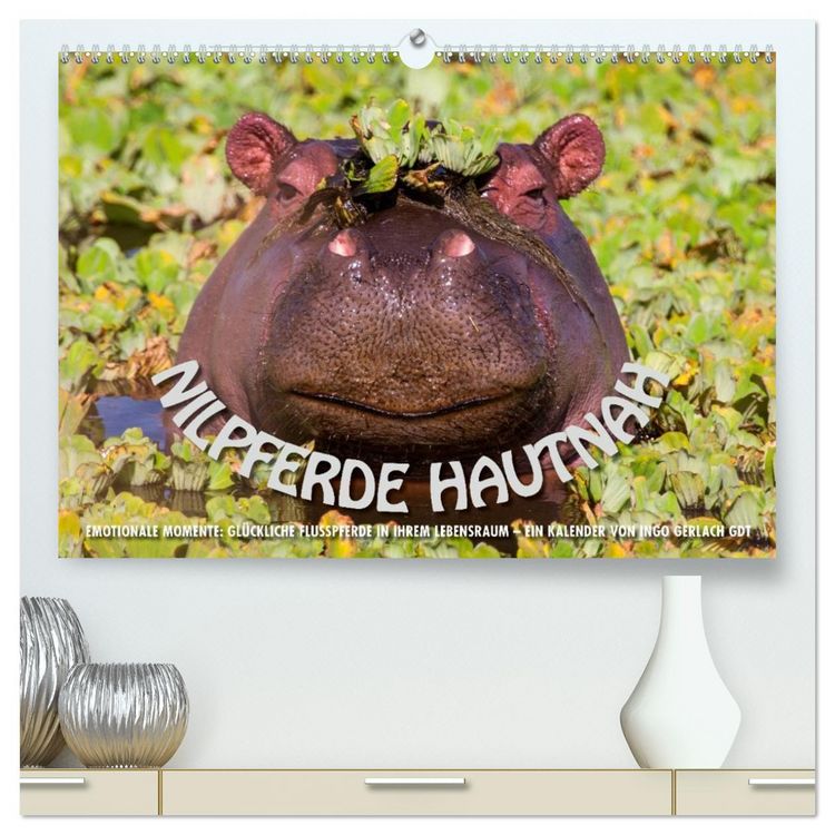 Produktbild: Emotionale Momente: Nilpferde hautnah (hochwertiger Premium Wandkalender 2026 DIN A2 quer), Kunstdruck in Hochglanz